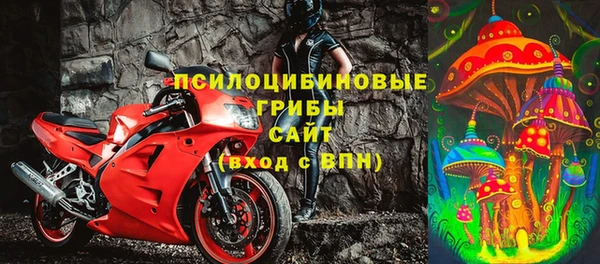 гидра Протвино
