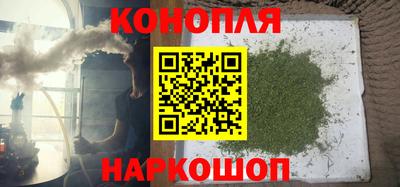 гашик Гусев
