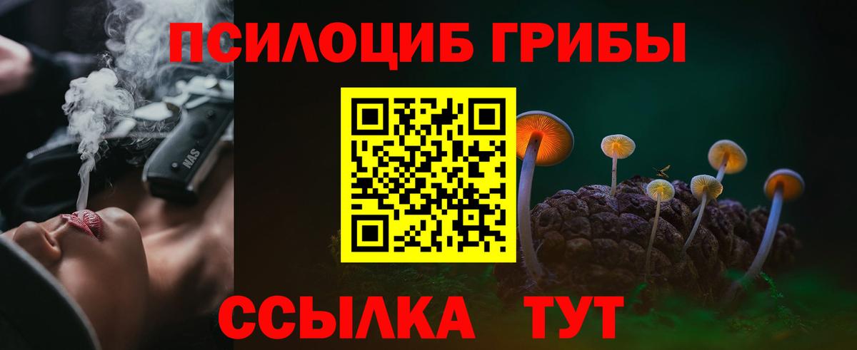 Псилоцибиновые грибы прущие грибы  цена наркотик  Сызрань  Вход с VPN 